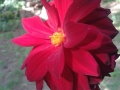 20140818_160529_800_x_600.jpg