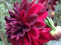 20140903_165526_800_x_600.jpg