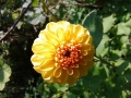 20140905_134306_1024_x_768.jpg
