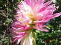 20140905_134334_800_x_600.jpg