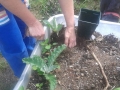 20150710_101835_(1024_x_768)