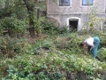 20130812_154610_800_x_600.jpg